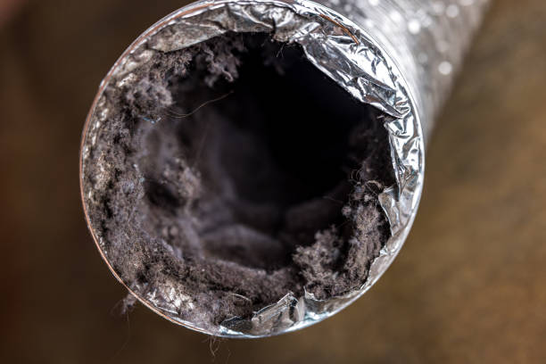 Best Local Air Duct Cleaning Services  in Maine, WI